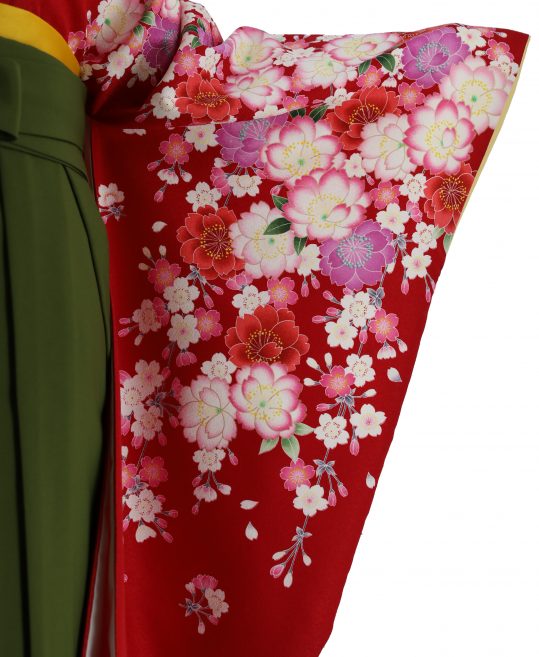 卒業式袴レンタルNo.665[2Lサイズ][新古典]赤・ピンク紫の八重桜